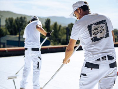 About Leaking Skylight Repair Pros Castroville, CA